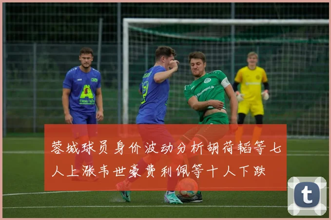 蓉城球员身价波动分析胡荷韬等七人上涨韦世豪费利佩等十人下跌